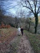 Jument de compagnie 