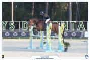 Location cheval de sport 
