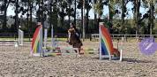 Poney B