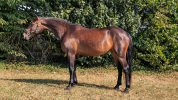 Ponette D 5ans 