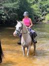 Poney &agrave; vendre 