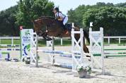 Lord du Payrol &ndash; Hongre 5 ans &ndash; CCE / Dressage