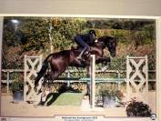 Cheval &agrave; vendre 