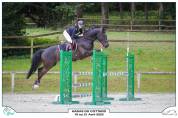 Cheval &agrave; vendre 