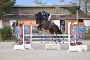 Cheval &agrave; vendre 