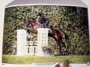 Cheval &agrave; vendre 