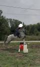 Jument-onc-8 ans sport/loisir