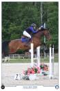 Vente jument baie de 10 ans, Belgian Warmblood