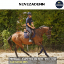 Yegua AQPS En venta 2023 Bayo