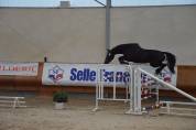 Belle Poulini&egrave;re SF confirm&eacute;e