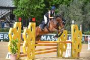 Vendo Pony