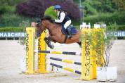 Vendo Pony