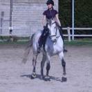 Hongre Cruzado Lusitanien 11 ans