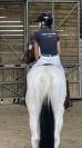 Belle jument  3 ans SF