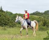 hongre pur sang arabe 6 ans qualifi&eacute; 80km