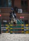 PONY SALTO OSTACOLI 