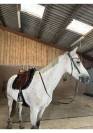 Demi-pension &ndash; Ponette 1.49