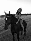 Super cheval &agrave; vendre 
