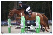 Jument CSO Selle Fran&ccedil;ais 