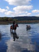 Deauville Menantie 13 ans Sport et loisirs 