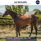 LE SICILIEN - PS - 7 ANS