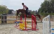 JUMENT SF 4 ANS