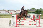 Jument de CSO de 8 ans 