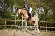 Ponette D Sport