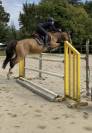 Ponette D Sport