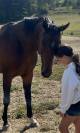 Ponette D bai demi sang arabe 12 ans