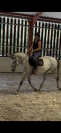 &Agrave; vendre jument 10 ans Darco X Quick star 