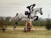 &Agrave; vendre jument 10 ans Darco X Quick star 