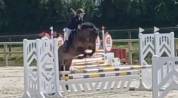 Ponette 4 ans