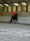 Pure race espagnole apto 
