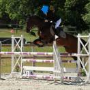 jument de sport
