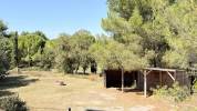 Bassin de Thau - charmante propri&eacute;t&eacute; sur 4,5 hectares