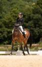 hongre 9 ans pour St George