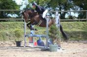 Jument PFS hors taille 