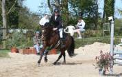 Jument PFS hors taille 