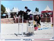 Poney de sport