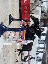 Poney de sport