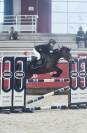 Poney de sport