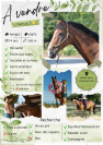 Cheval &agrave; vendre