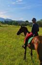 Cheval &agrave; vendre