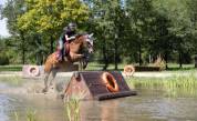 Poney Welsh cob de 13 ans 