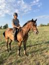 CHEVAL CSO AMATEUR 