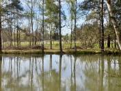 Maison sur presque 11 hectares secteur Lamotte Beuvron