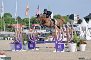 3 ans femelle baie 1m66 Elevage des Tess
