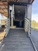 CAMION 7 places chevaux + gros pop out 