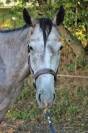 Raad Of The Night - 2 ans